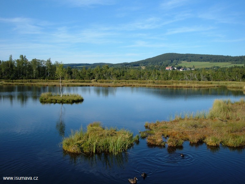 Šumava 1.jpg