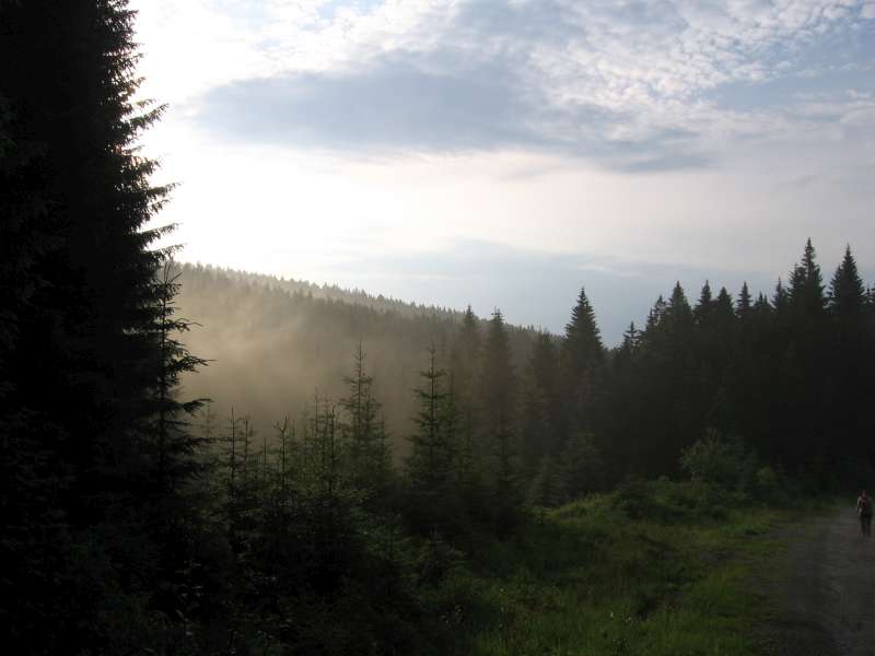 Šumava 2.jpg